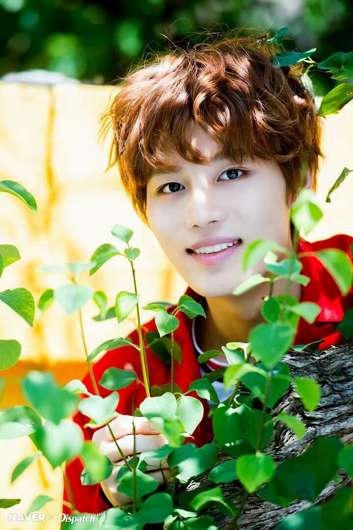 nct127文泰一