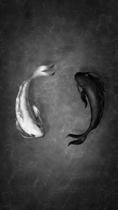 黑白太极鱼寓意图片