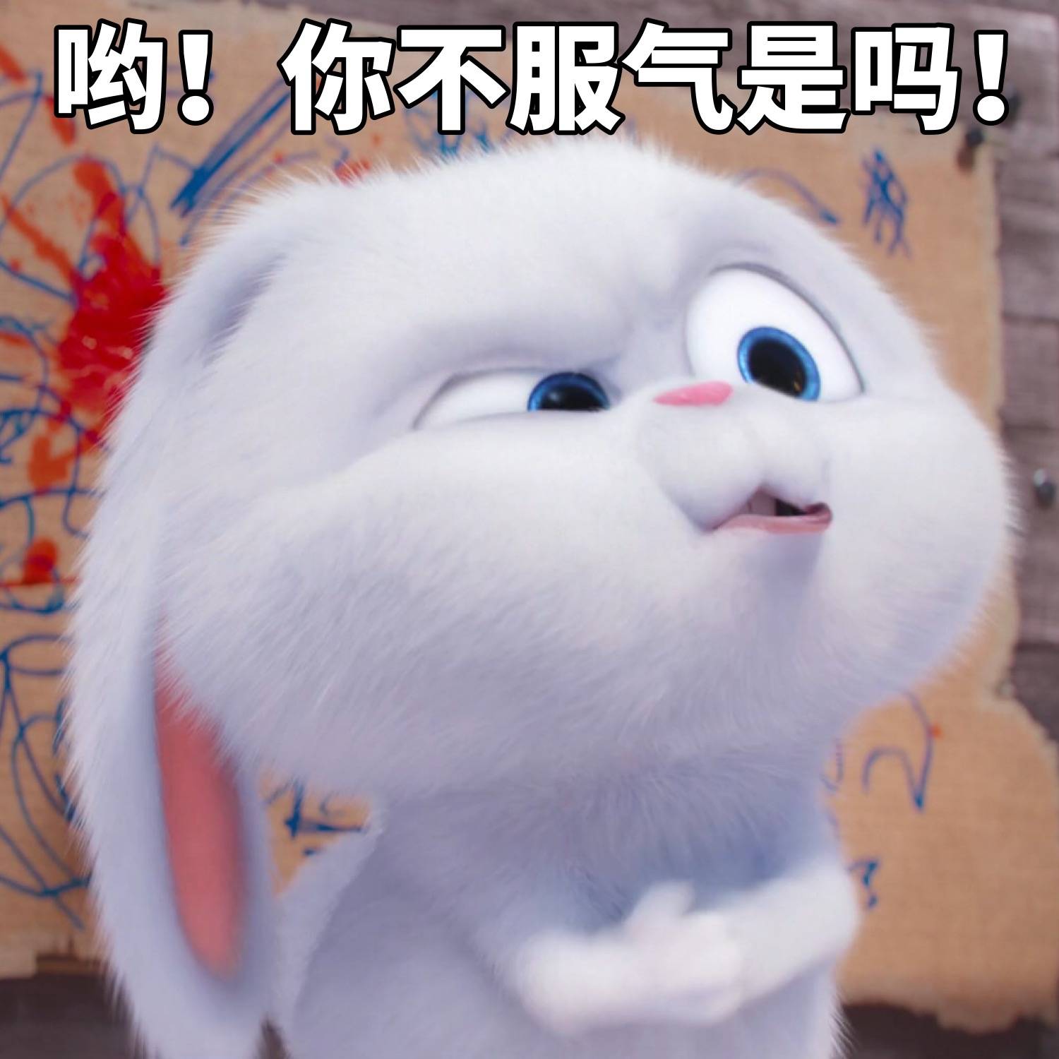 爱宠大机密 表情包