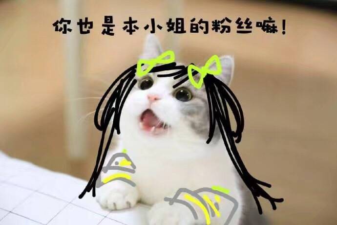 孙尚香表情包