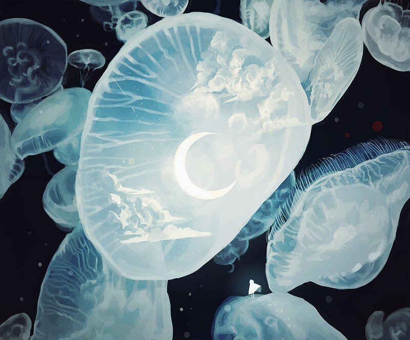 意境图;水母