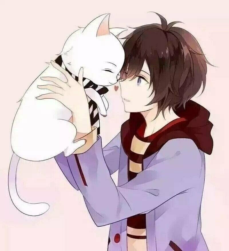 可爱男生头像少年和猫