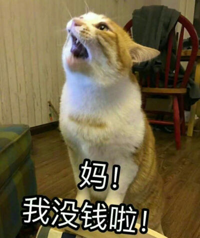 亲爱的妈妈今晚我就要远航表情包