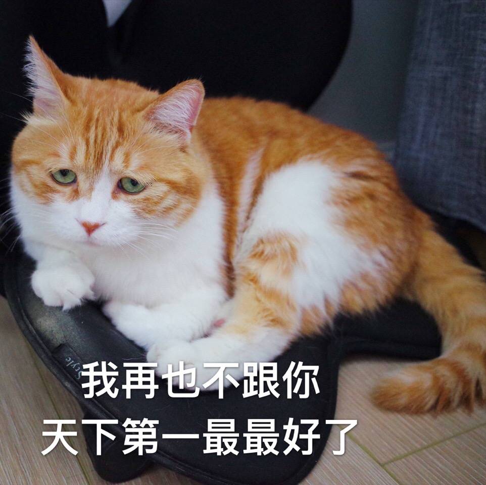 我要和你天下第一好