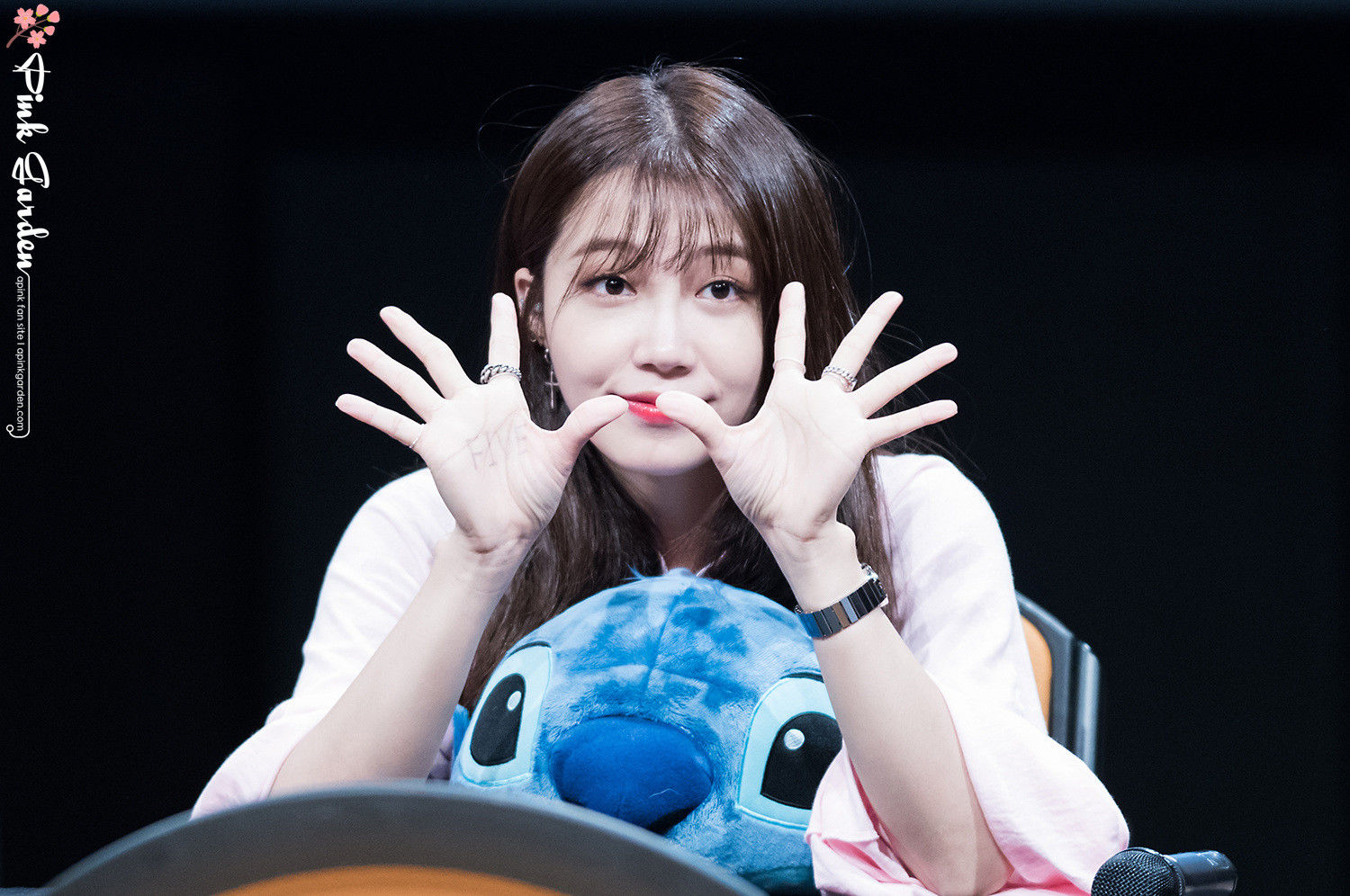 apink 阿粉 jung eun ji 郑恩地 签售会 头像