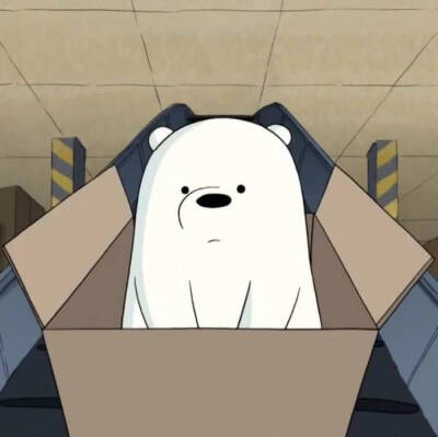 裸熊头像 白熊图片