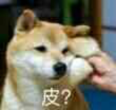 憋不住想笑