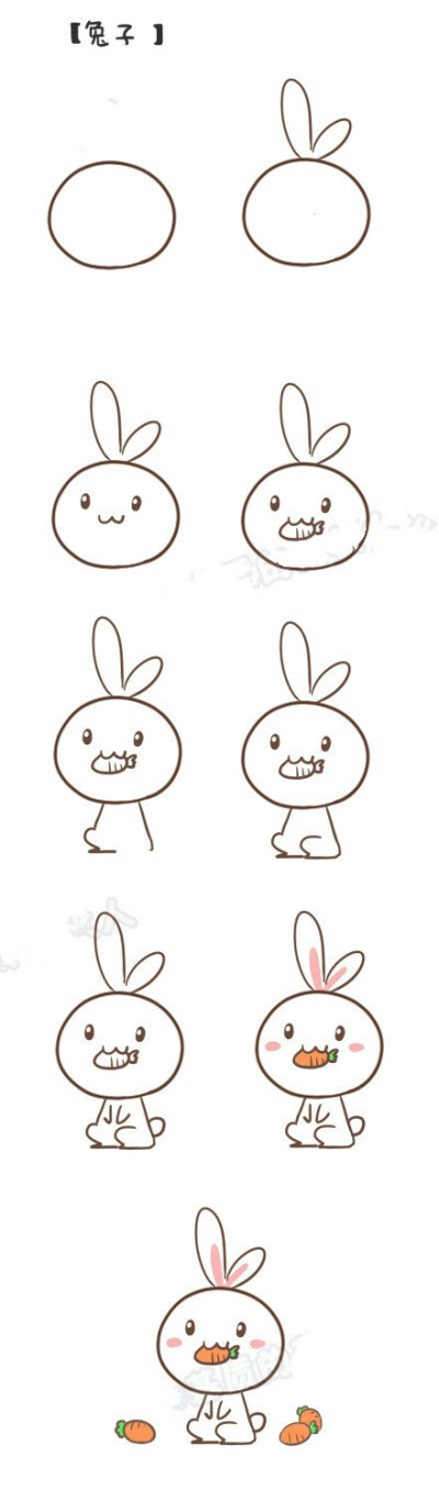 简笔画——吃胡萝卜的兔子