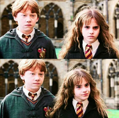 哈利波特 图片评论 0条  收集   点赞  评论  哈利·波特 赫敏 罗 