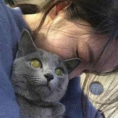 女生头像 猫咪