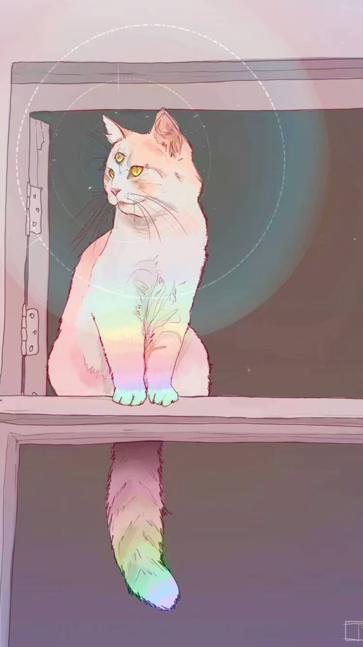 壁纸猫