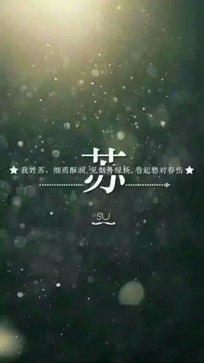 我姓苏