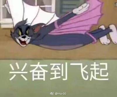 默认专辑