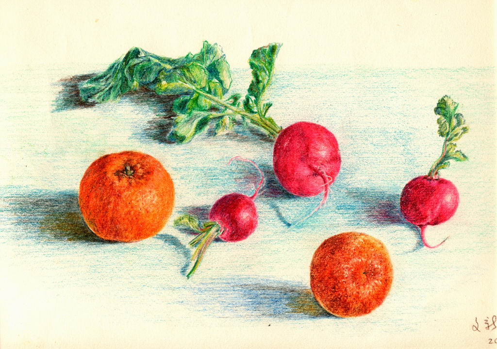 彩铅 手绘 蔬果 插画