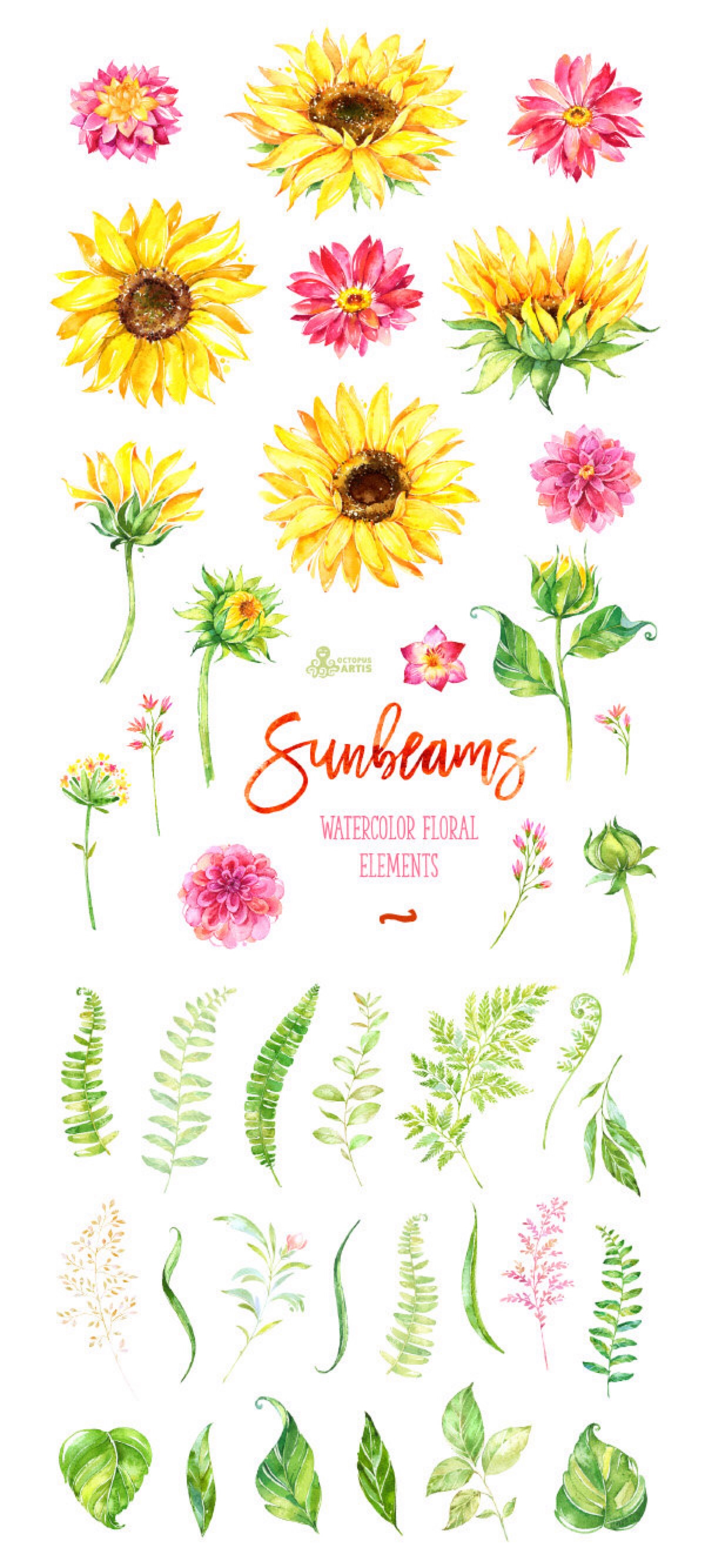 手绘水彩 花卉 鲜花 植物 向日葵 小清新 平面设计 手账 贴纸 素材