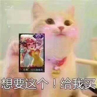 王者荣耀表情包,要皮肤专用