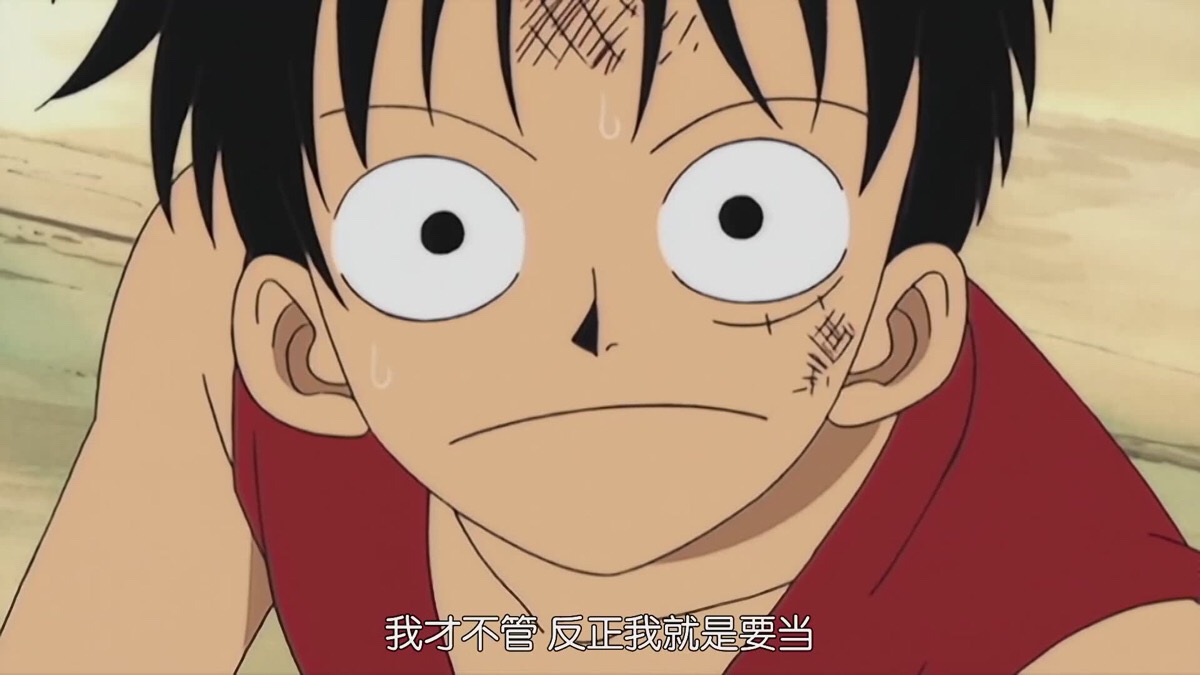 我才不管海贼王我当定了-路飞-自截