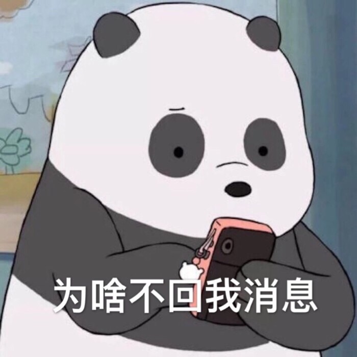 为啥不回我消息