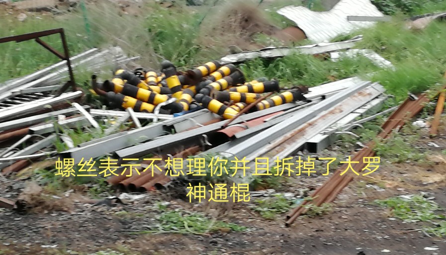 嘉德罗斯 大罗神通棍