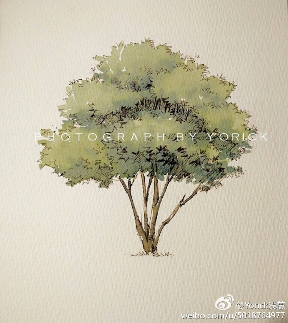 yorick浅葱 钢笔淡彩