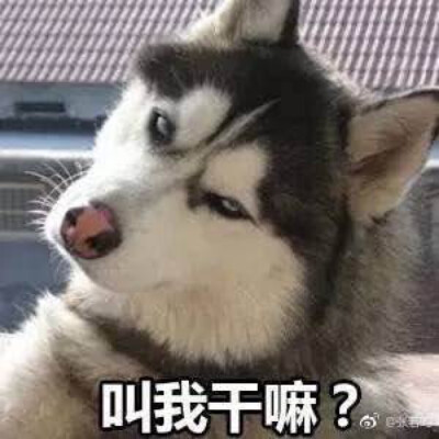 头像不羁