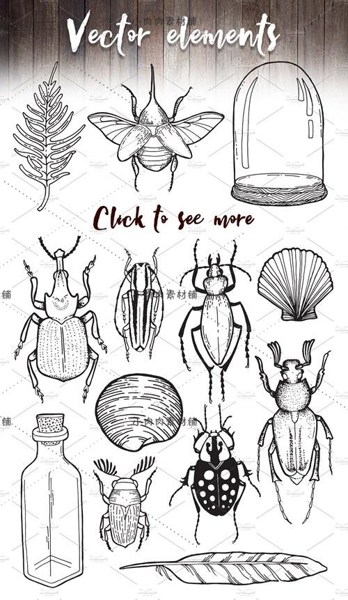 手绘彩色黑白线稿昆虫甲壳虫蝴蝶玻璃瓶标本pngpsd设计素材