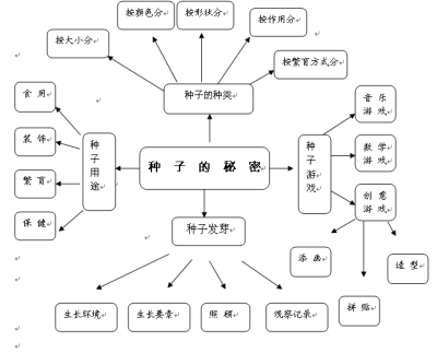 的种子