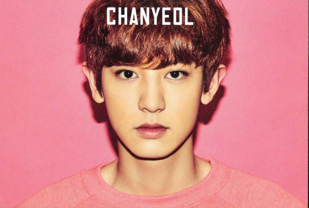 exo 朴灿烈