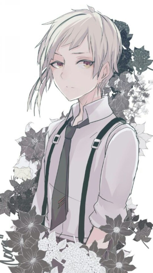 文豪野犬壁纸