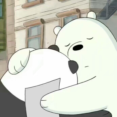 白熊 棕熊 熊猫