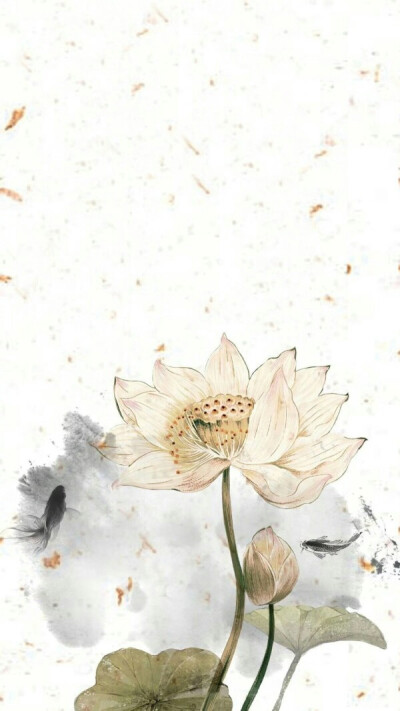 植物- 堆糖,美图壁纸兴趣社区