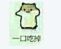 萌宠表情包凶