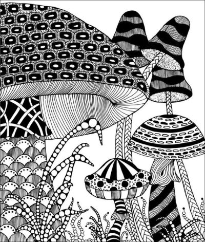 草丛中的大蘑菇黑白植物线描装饰画图片赏析
