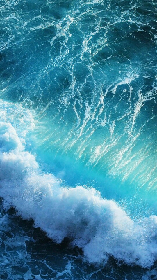 壁纸海洋