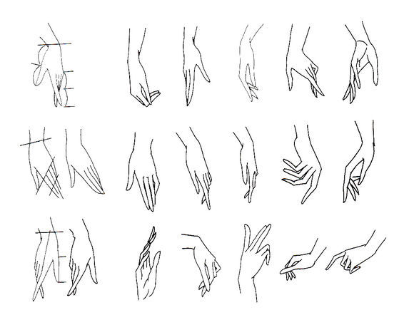女性手部画法图片
