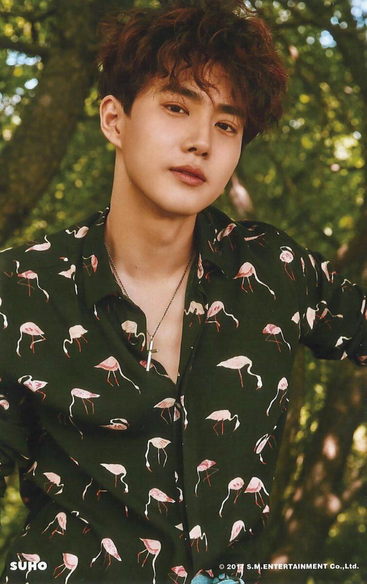 exo suho 金俊勉
