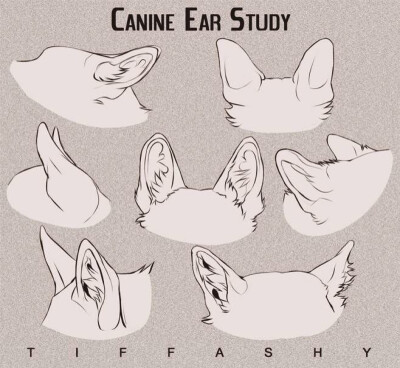 猫耳朵图片简笔画图片