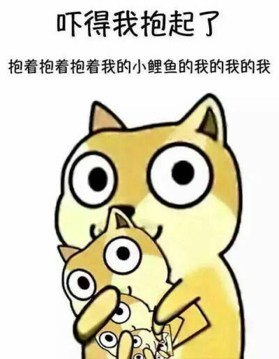 吓得我抱起了小鲤鱼 表情包 鱼啊鱼