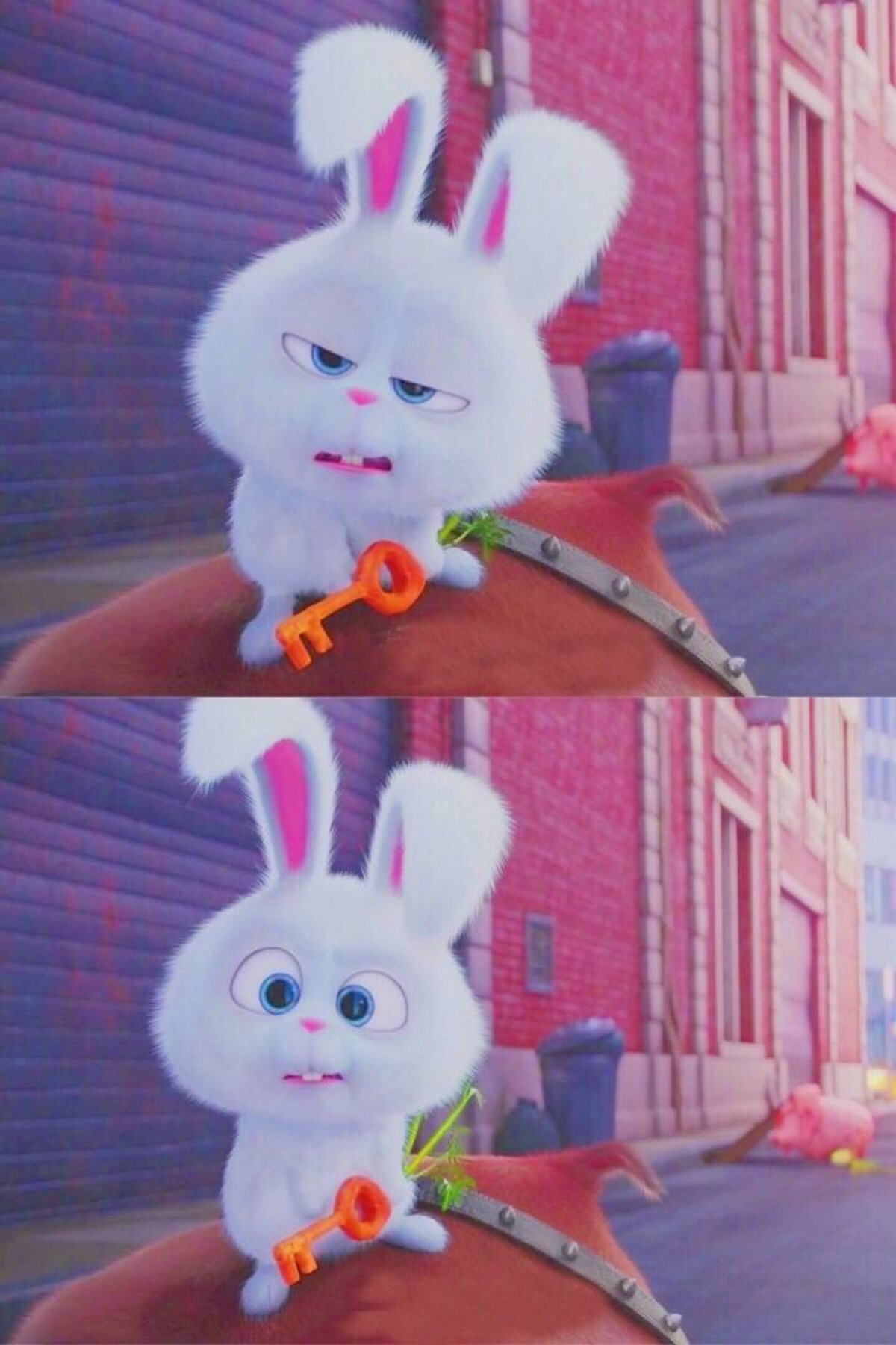 爱宠大机密壁纸