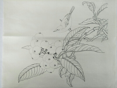 白描作品
