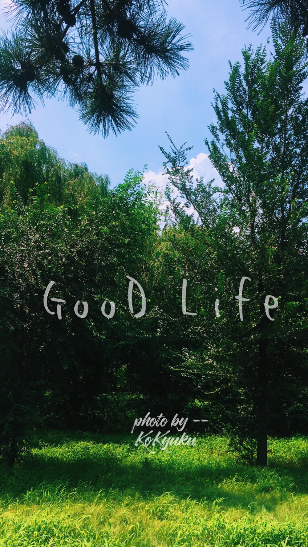 小清新6s壁纸英文goodlife绿色