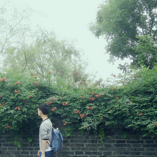 情头 男 真人 文艺小清新头像 背影 - 堆糖,美图壁纸