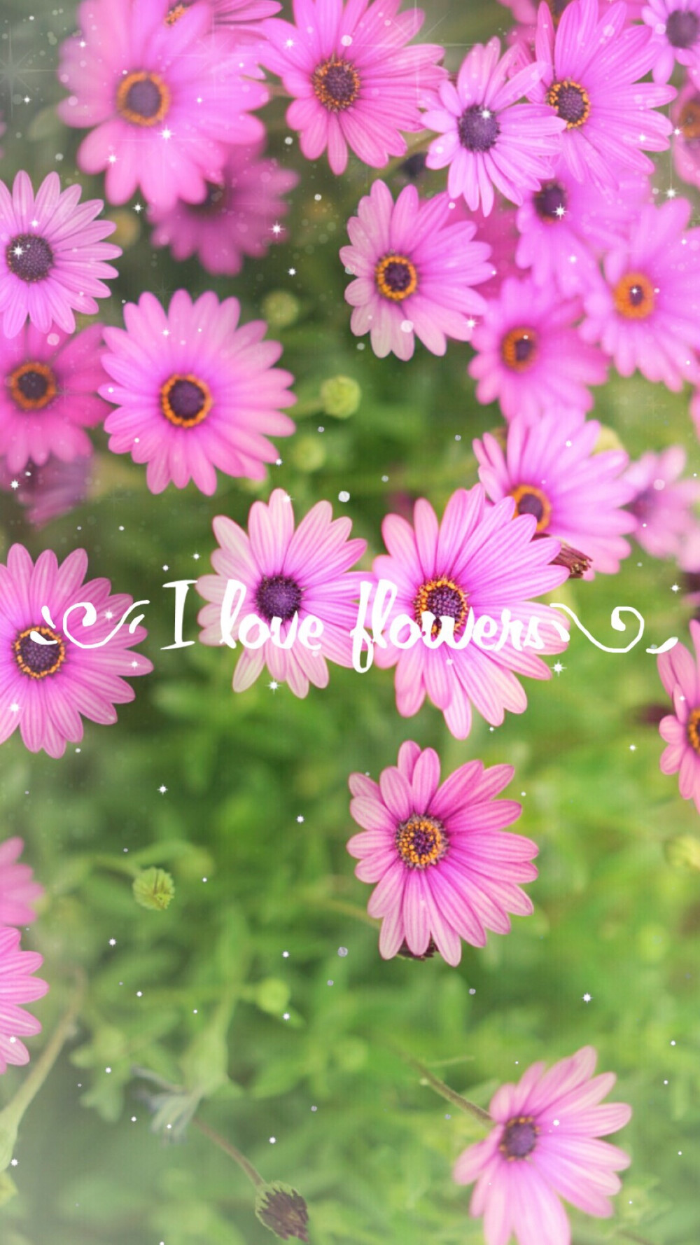 i love flowers 小碎花自制原创壁纸