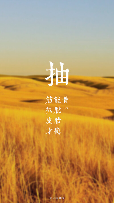心灵食粮原创 #治愈系 #励志正能量 #文字句子 #手机壁纸 #锁屏 #自制