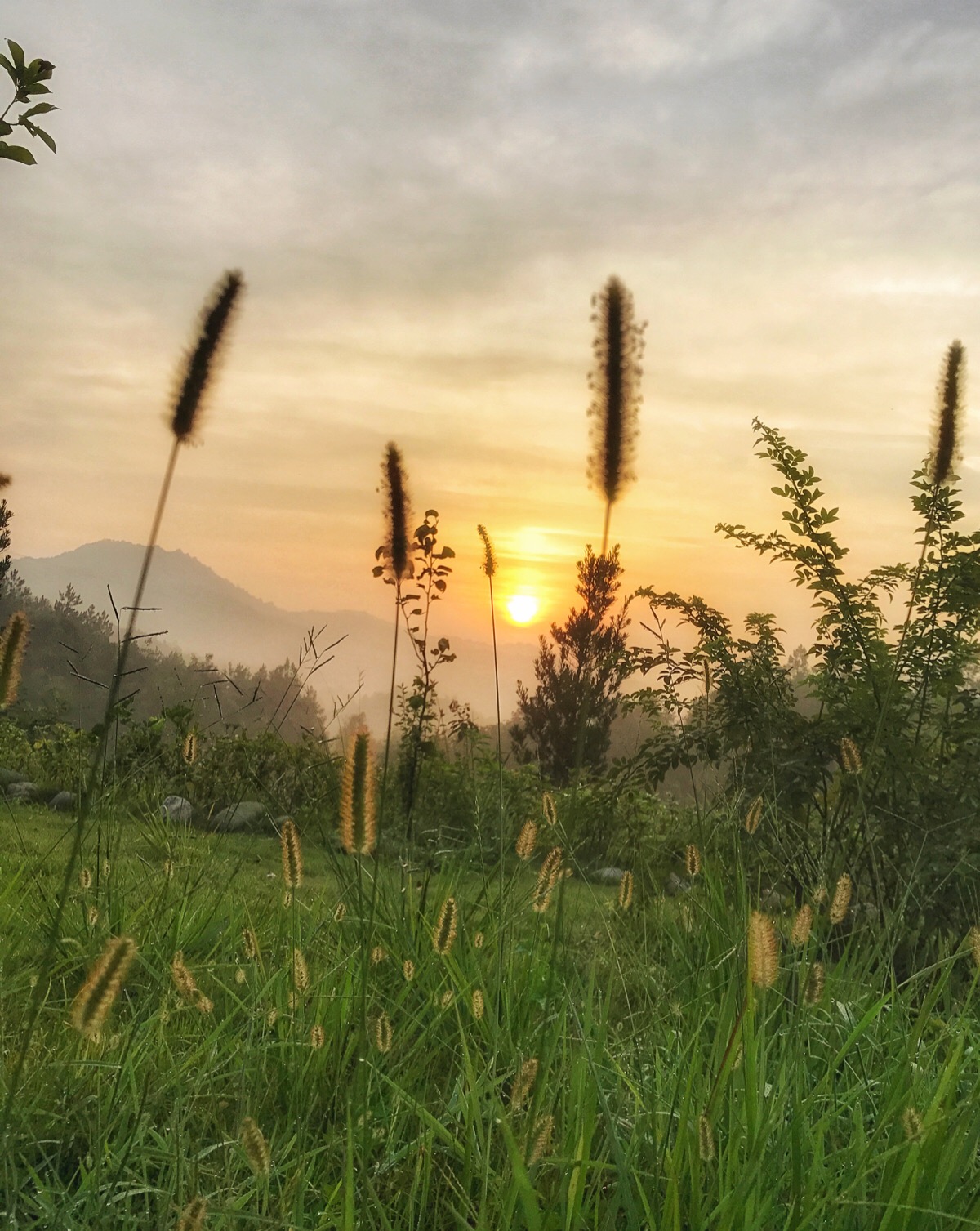 乡村早晨日出的图片图片