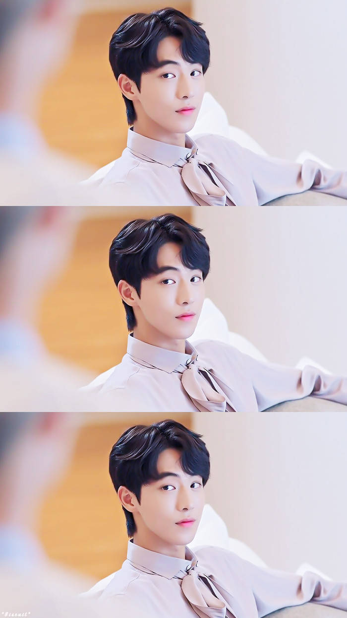 南柱赫河伯的新娘cr扣扣饼