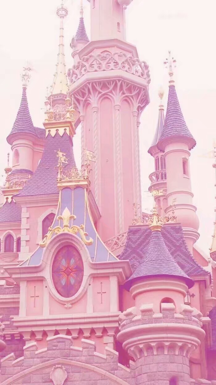 斋浦尔粉红城堡图片