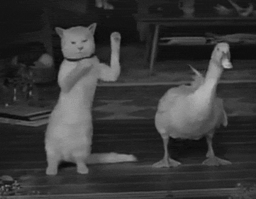 猫把小鸭子蹬飞的动图图片