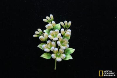 故宫里的头花——南京绒花,北京绢花,扬州通草花