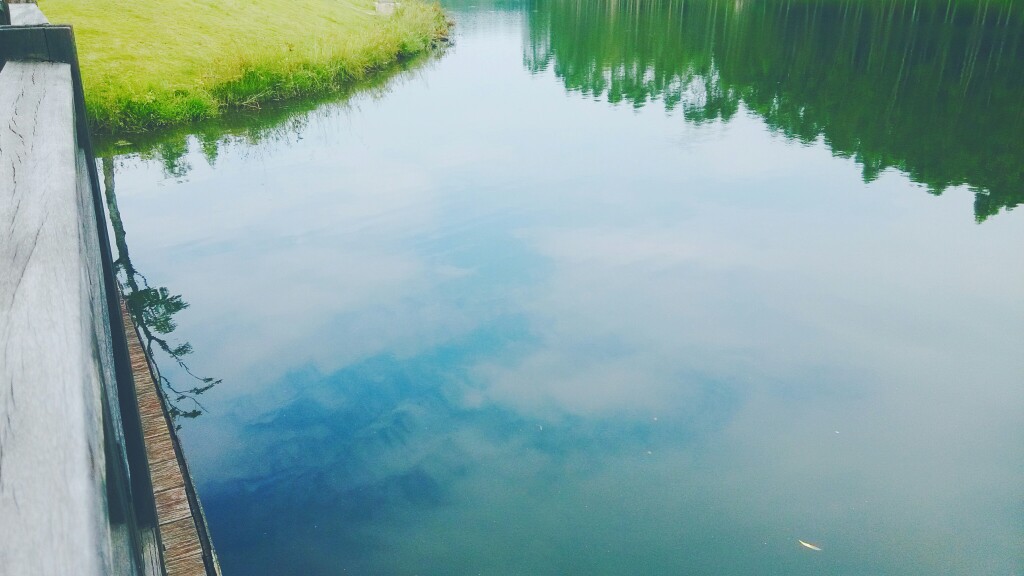 水里有海